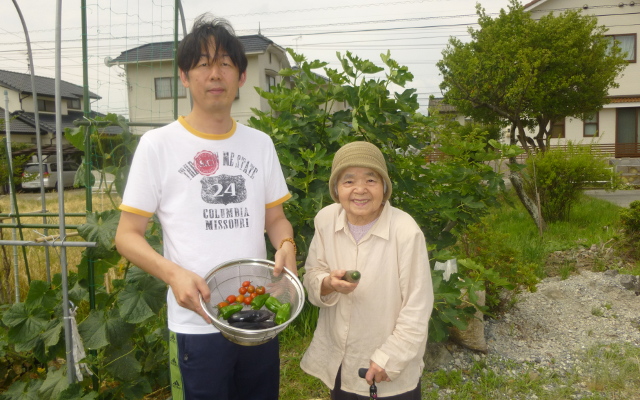 夏野菜収穫